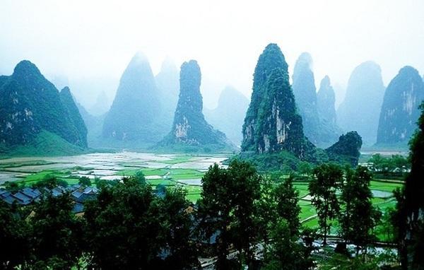 精灵格蕾